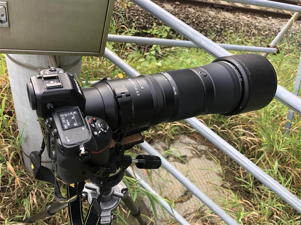 実戦投入』 ニコン NIKKOR Z 180-600mm f/5.6-6.3 VR のクチコミ掲示板