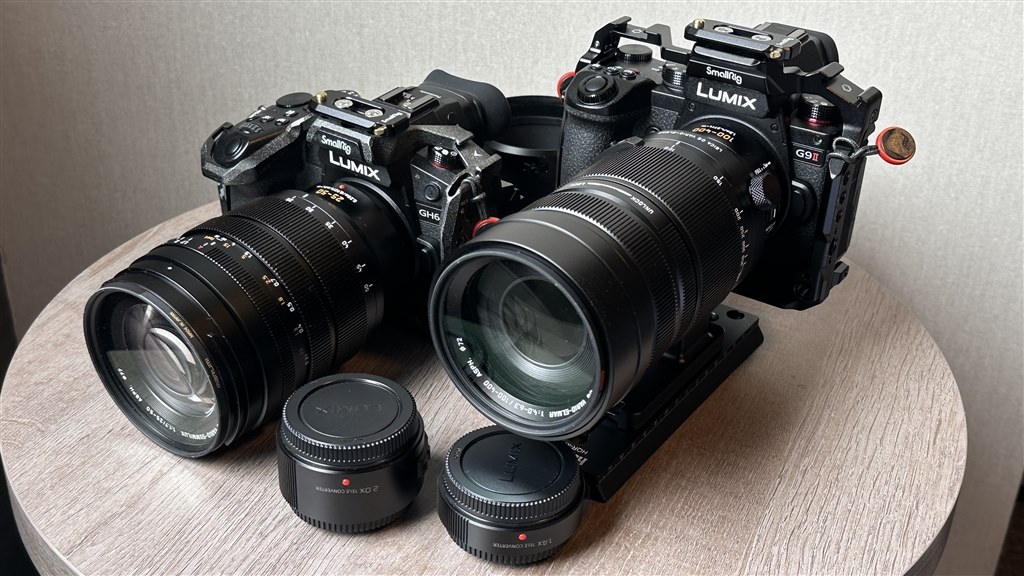 パナソニック　LUMIX DC-G9M2 ボディ 予備バッテリ DC-G9M2 デジタル一眼カメラ／ボディ｜デジタル一眼