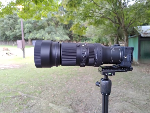 シグマ 100-400mm F5-6.3 DG DN OS [ライカL用]投稿画像・動画 - 価格.com