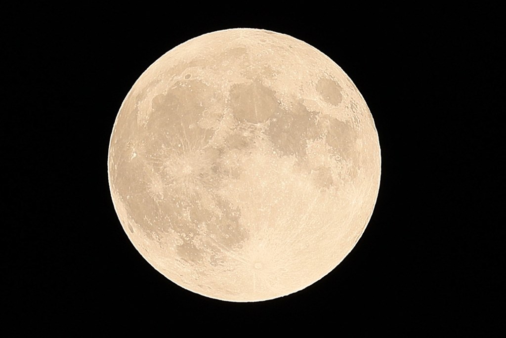 テレ端の画質は？』 CANON RF200-800mm F6.3-9 IS USM のクチコミ  