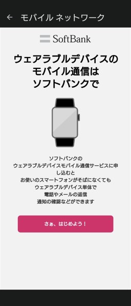 Google Pixel Watch [Champagne Gold ステンレス ケース/Hazel Google Pixel Watch [Champagne Gold ステンレス ケース/Hazel