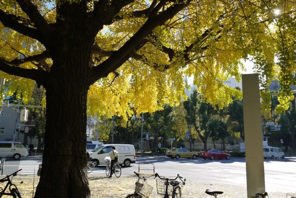 パナソニック LUMIX DMC-GF3 ボディで撮影された写真 - 価格.com