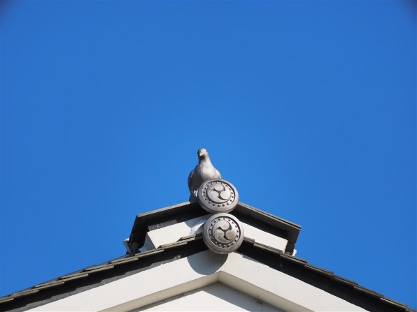 TAMRON - TAMRON 14-150mm マイクロフォーサーズ　タムロン　シルバー CP+】タムロン、マイクロフォーサーズ用「14-150mm F3.5-5.8 Di