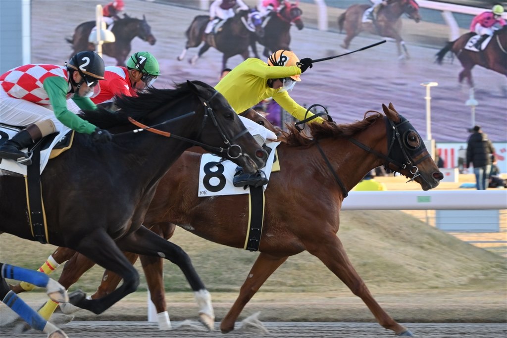 競馬 元旦に競走馬を撮ってみました』 ニコン NIKKOR Z DX 18-140mm f/3.5