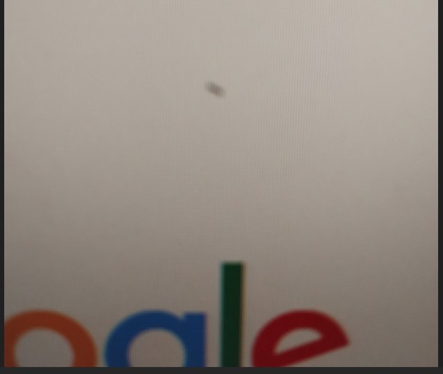 パネルの分解取り外しは可能でしょうか？』 LGエレクトロニクス