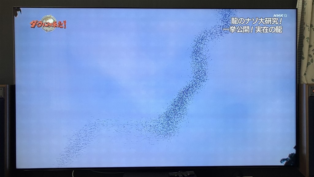 画面にドットのような模様が気になります。』 SONY BRAVIA XRJ 画面にドットのような模様が気になります。』 SONY BRAVIA XRJ