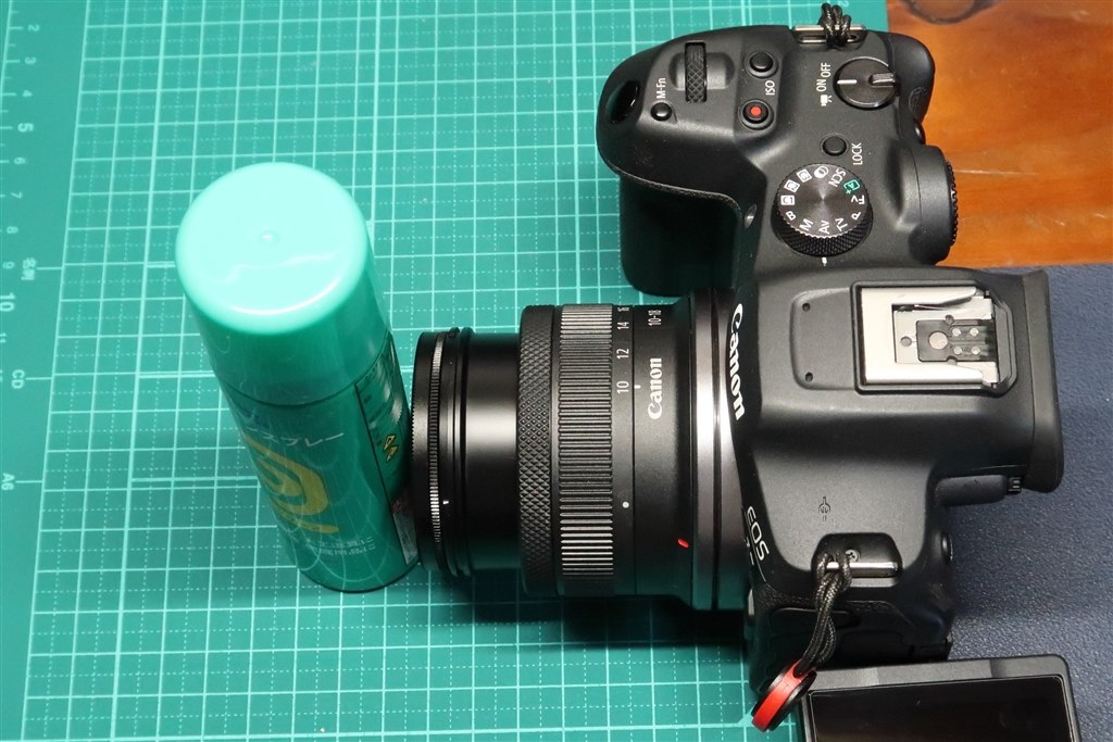 寄れる。とにかく寄れます。』 CANON RF-S10-18mm F4.5-6.3 IS