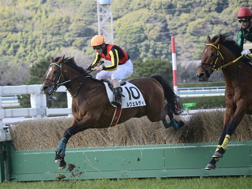 元旦に競走馬を撮ってみました』 ニコン NIKKOR Z DX 18-140mm f