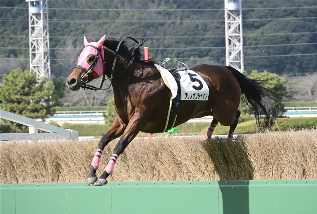 元旦に競走馬を撮ってみました』 ニコン NIKKOR Z DX 18-140mm f