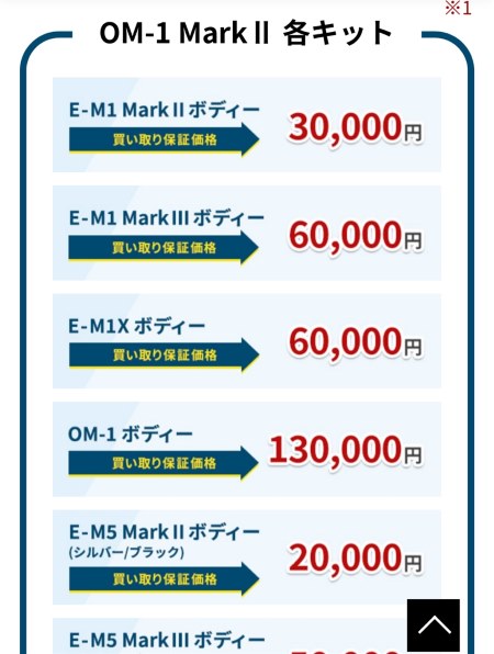 シルバーライフ 株主優待 60,000円分 みやすく