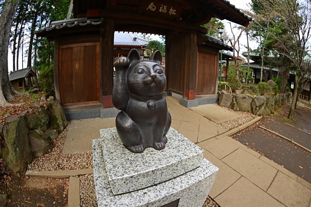 生産終了』 ニコン AF-S Fisheye NIKKOR 8-15mm f/3.5-4.5E ED 生産終了』 ニコン AF-S Fisheye NIKKOR 8-15mm f/3.5-4.5E ED