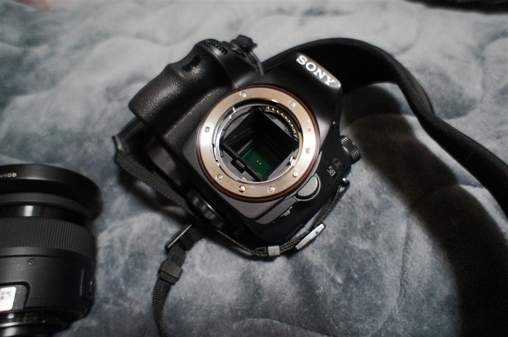 プラマウントから金属マウントへ』 SONY α58 SLT-A58M 高倍率