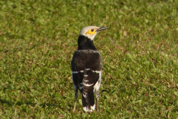 シグマ 100-400mm F5-6.3 DG DN OS [フジフイルム用] 価格比較 - 価格.com