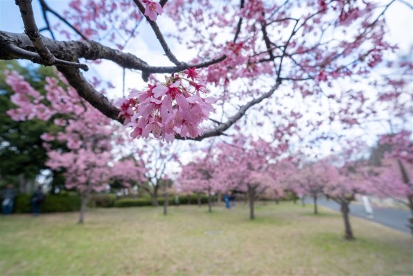VILTROX AF 13mm F1.4 XF [フジフイルム用]で撮影された写真 - 価格.com