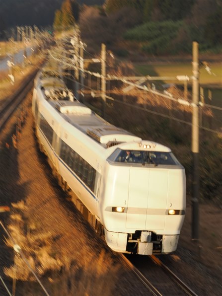 オリンパス M.ZUIKO DIGITAL ED 75mm F1.8 [シルバー]投稿画像・動画