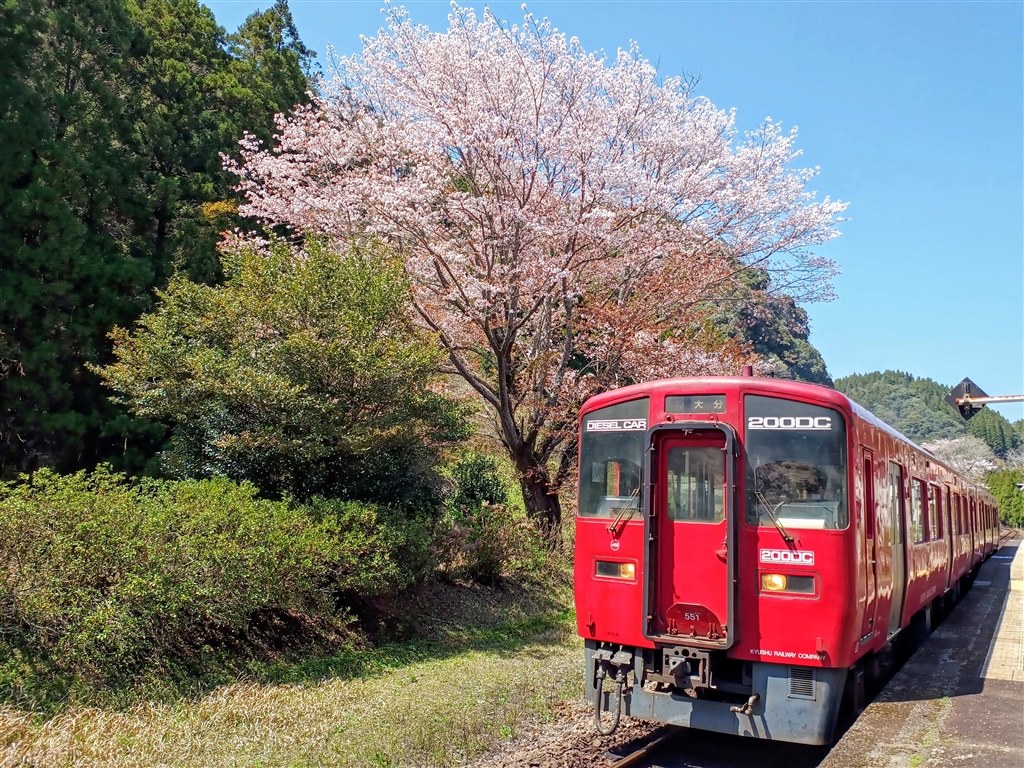 画像確認用 確認用写真 確認用写真 確認用のページです ZXスクーター・確認用 確認