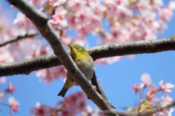 3918457_l.jpg