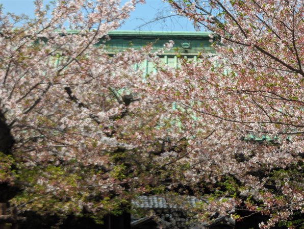 Google Google Pixel 7 Pro 128GB SIMフリー [Obsidian]投稿画像・動画