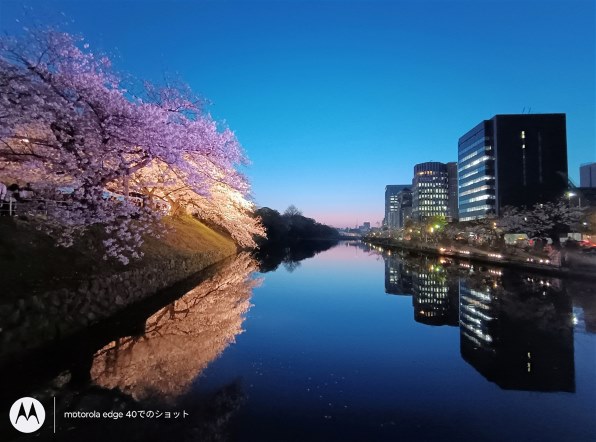 8.8 公式写真 まとめ売り 8.8 公式写真 まとめ売り