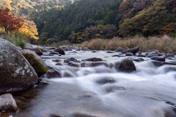 SONY E PZ 10-20mm F4 G SELP1020Gで撮影された写真 (掲示板 SONY E PZ 10-20mm F4 G SELP1020Gで撮影された写真 (掲示板