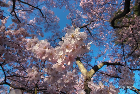 CANON EOS Kiss X10 EF-S18-55 IS STM レンズキット [ブラック]で撮影