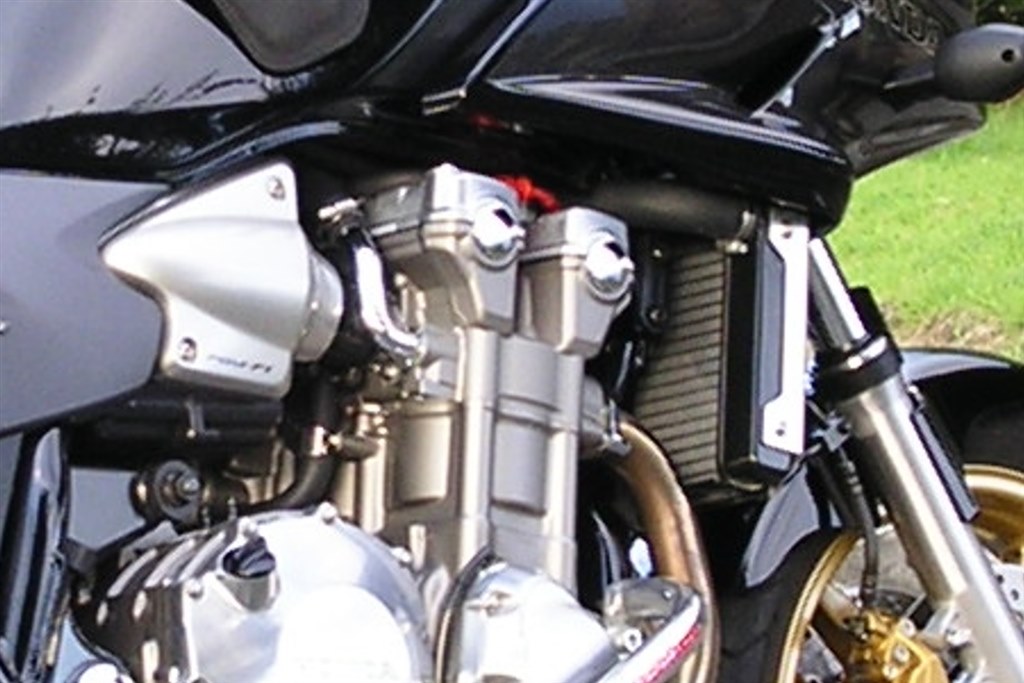 塗装剥がれあり 塗装剥がれ補修（カワサキ Ninja ZX-25R）by グリオ. - みんカラ