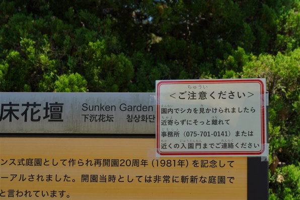 ライカ SL バリオエルマリート24-90mm f2.8-4 Amazon | Leica Vario-Elmarit-SL 24-90mm f/2.8-4 ASPH. レンズ