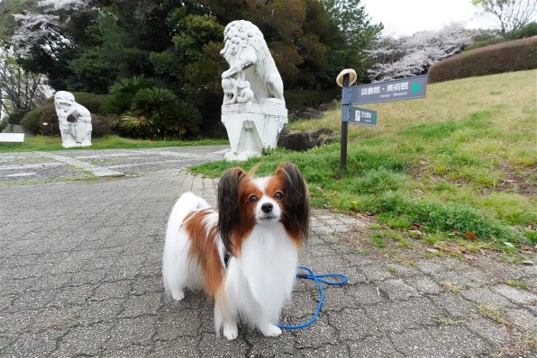 露出美術館掲示板 
