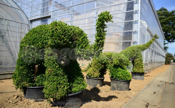 ニコン D800E ボディで撮影された写真 - 価格.com