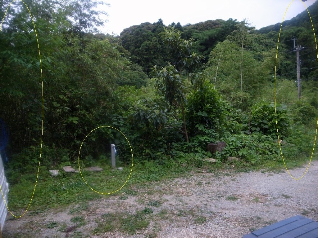 画像の一部に曇りが入る』 リコー GR DIGITAL III のクチコミ掲示板