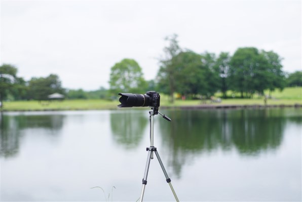 CANON EF28mm F1.8 USM投稿画像・動画 - 価格.com CANON EF28mm F1.8 USM投稿画像・動画 - 価格.com
