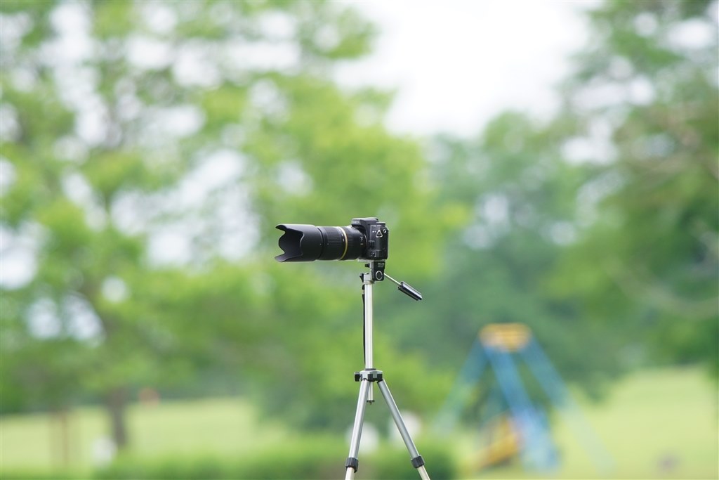 美しいボケ感❤️Canon EF 0mm F1.8 STM❤️単焦点レンズ❤️美品❤️ あの神レンズが新型になった！Canon EF 50mm F1.8 STM がやってきた