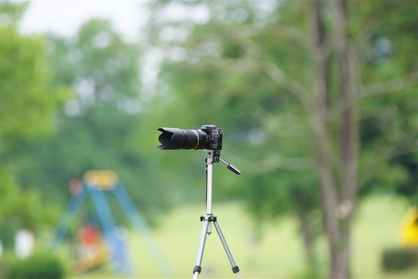CANON EF28mm F1.8 USM投稿画像・動画 - 価格.com CANON EF28mm F1.8 USM投稿画像・動画 - 価格.com