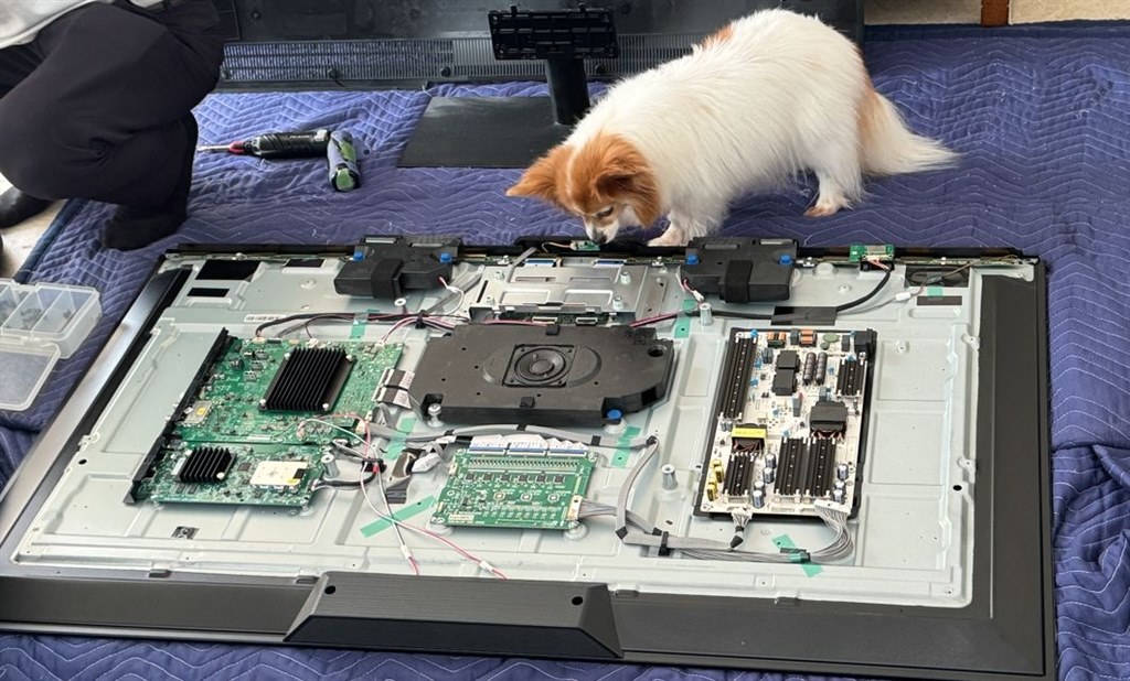 REGZA4K液晶テレビ（たら） 楽天市場】レグザ 4k 43の通販