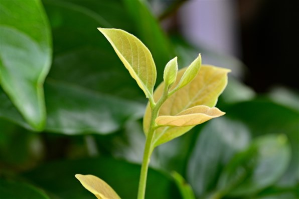 普段使いとして手に入れました』 ニコン NIKKOR Z 24-120mm f/4 S の