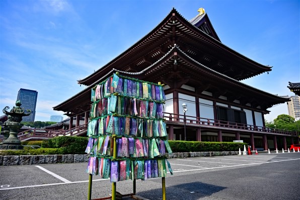 普段使いとして手に入れました』 ニコン NIKKOR Z 24-120mm f/4 S の