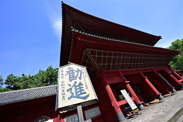 普段使いとして手に入れました』 ニコン NIKKOR Z 24-120mm f/4 S の