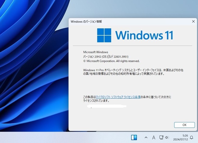 Win 11 Insider Preview 22631.3951 (Release Preview)』 クチコミ