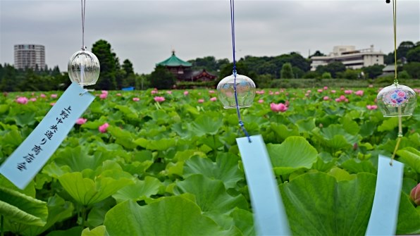 普段使いとして手に入れました』 ニコン NIKKOR Z 24-120mm f/4 S の