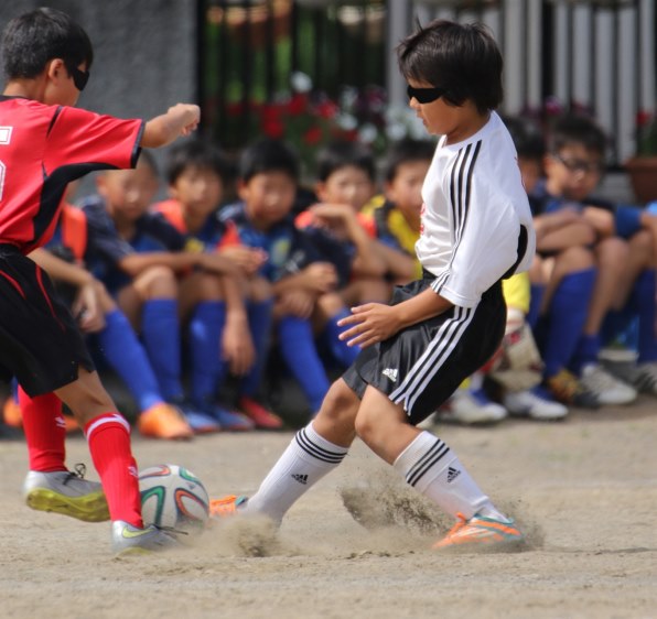 シグマ 150-600mm F5-6.3 DG OS HSM Sports [ニコン用]で撮影