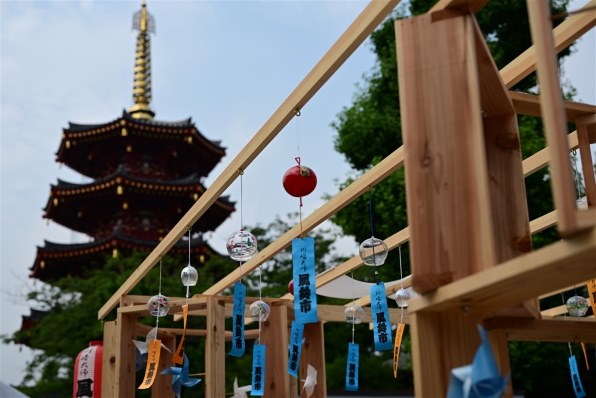 普段使いとして手に入れました』 ニコン NIKKOR Z 24-120mm f/4 S の