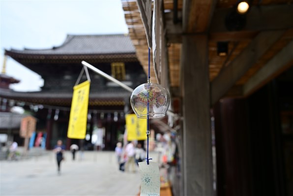 普段使いとして手に入れました』 ニコン NIKKOR Z 24-120mm f/4 S の