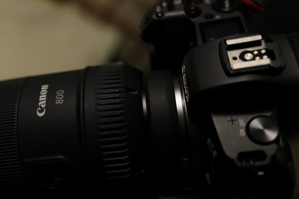 CANON RF800mm F11 IS STMのクチコミ - 価格.com
