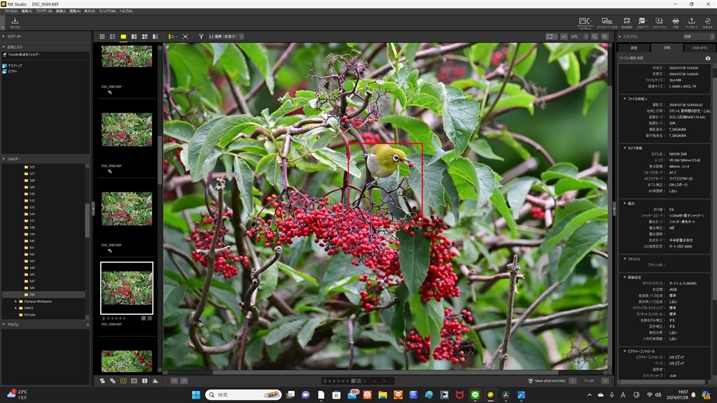 鳥フォーカスについて』 ニコン Z6III ボディ のクチコミ掲示板 - 価格.com