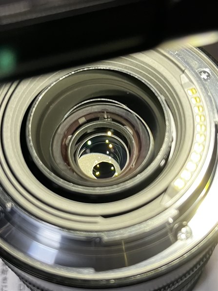 ニコン NIKKOR Z 24-70mm f/4 S投稿画像・動画 - 価格.com