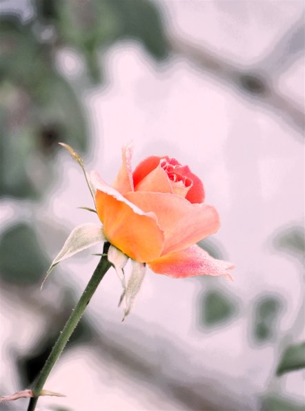 ニコン D90 ボディで撮影された写真 - 価格.com ニコン D90 ボディで撮影された写真 - 価格.com