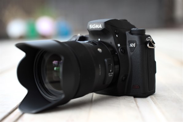 SONY α7R ILCE-7R ボディで撮影された写真 - 価格.com
