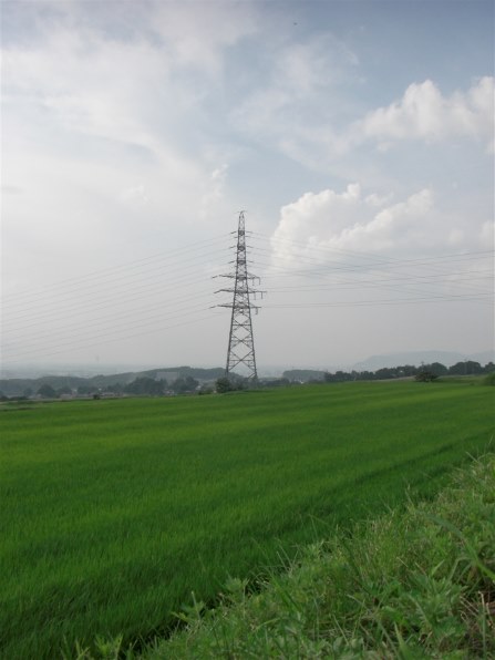 CASIO EXILIM EX-V7 デジタルカメラ　CCD 作例あり CASIO(カシオ)のデジタルカメラEXILIM Hi-ZOOM EX-V7 で撮影した