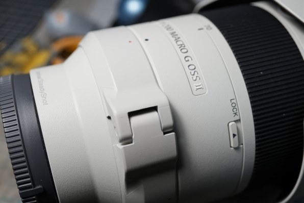 SONY FE 70-200mm F4 Macro G OSS II SEL70200G2投稿画像・動画