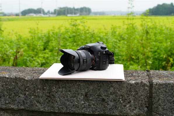 SONY DT35mm F1.8 SAM SAL35F18で撮影された写真 - 価格.com